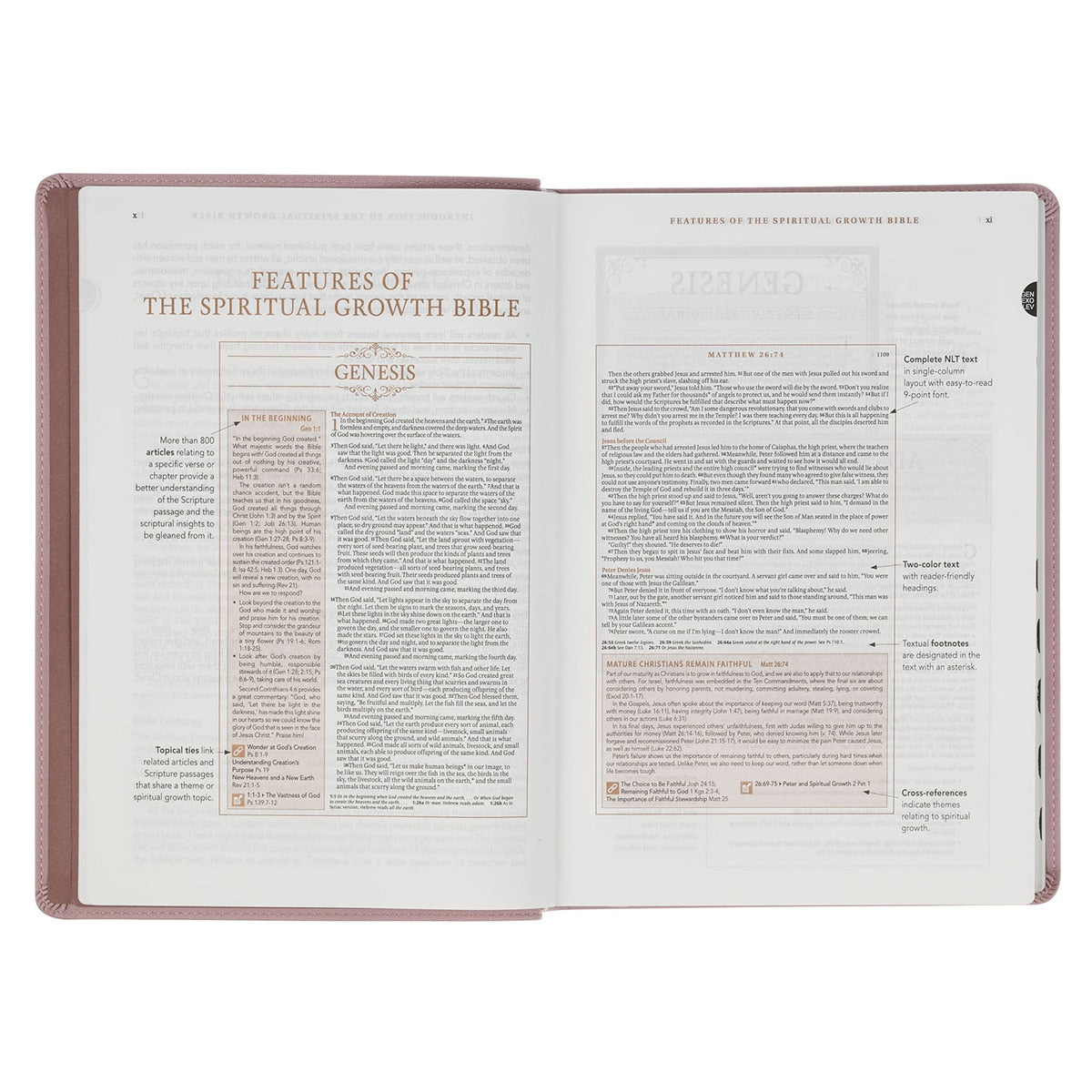 Dusty Mauve Faux Leather Spiritual Growth Bible by Christian Art Gifts, product view 5