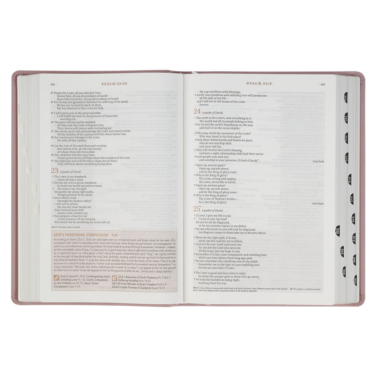Dusty Mauve Faux Leather Spiritual Growth Bible by Christian Art Gifts, product view 6