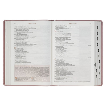 Dusty Mauve Faux Leather Spiritual Growth Bible by Christian Art Gifts, product view 6
