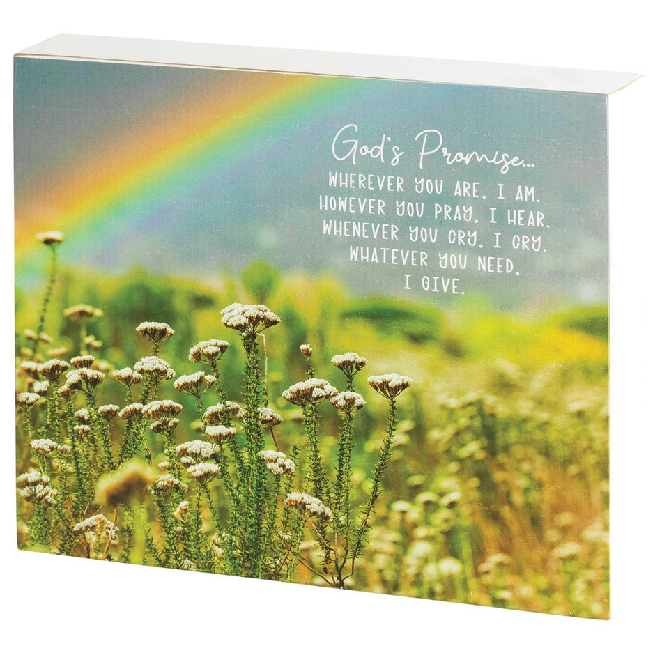 Tabletop Plaque Gods Promise 10x8 by Dicksons