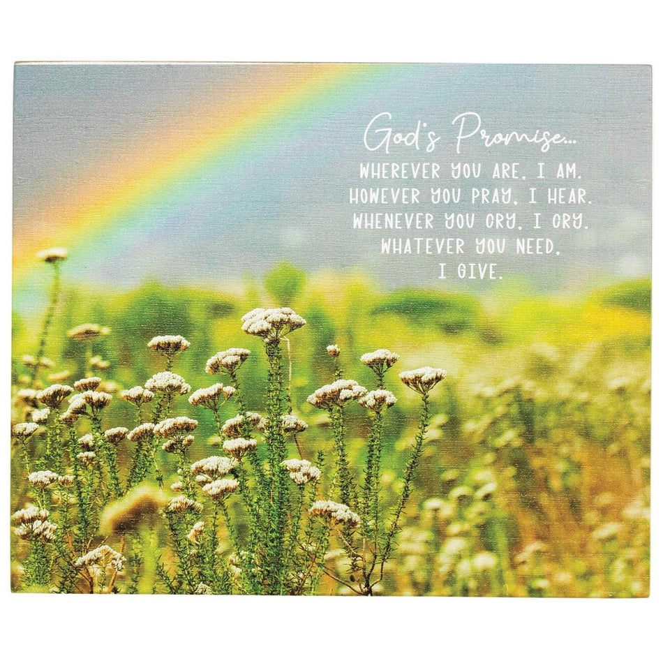 Tabletop Plaque Gods Promise 10x8 by Dicksons, product view 2