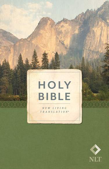 Holy Bible, Economy Outreach Edition | NLT | Case of 22
