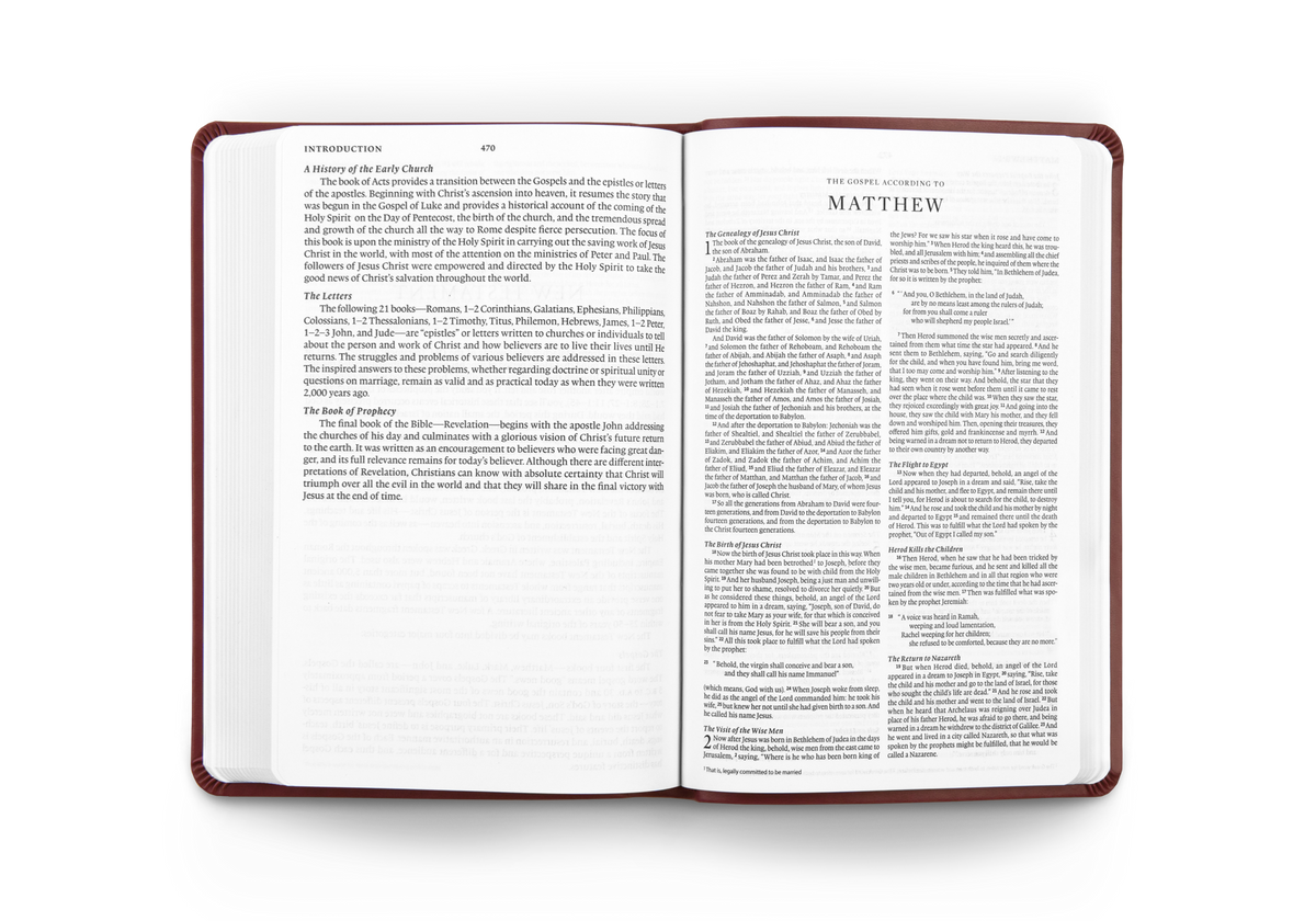 ESV Gift and Award Bible – Imitation Leather (Burgundy Trutone) by Crossway, product view 2