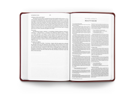 ESV Gift and Award Bible – Imitation Leather (Burgundy Trutone) by Crossway, product view 2