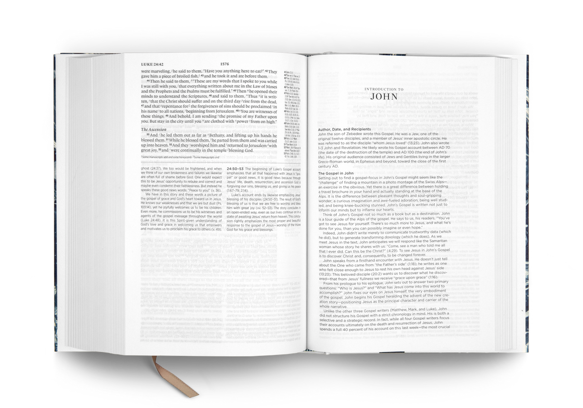 ESV Gospel Transformation® Study Bible: Christ in All of Scripture, Grace for All of Life® by Crossway, product view 8