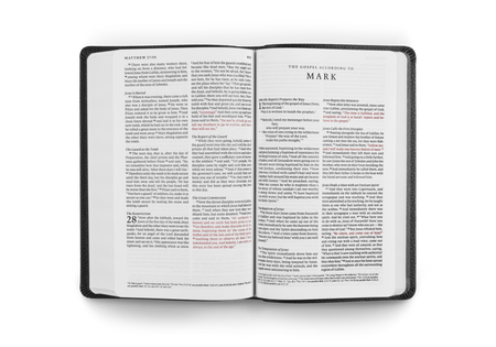 ESV Premium Gift Bible, Red Letter – Imitation Leather by Crossway, product view 2