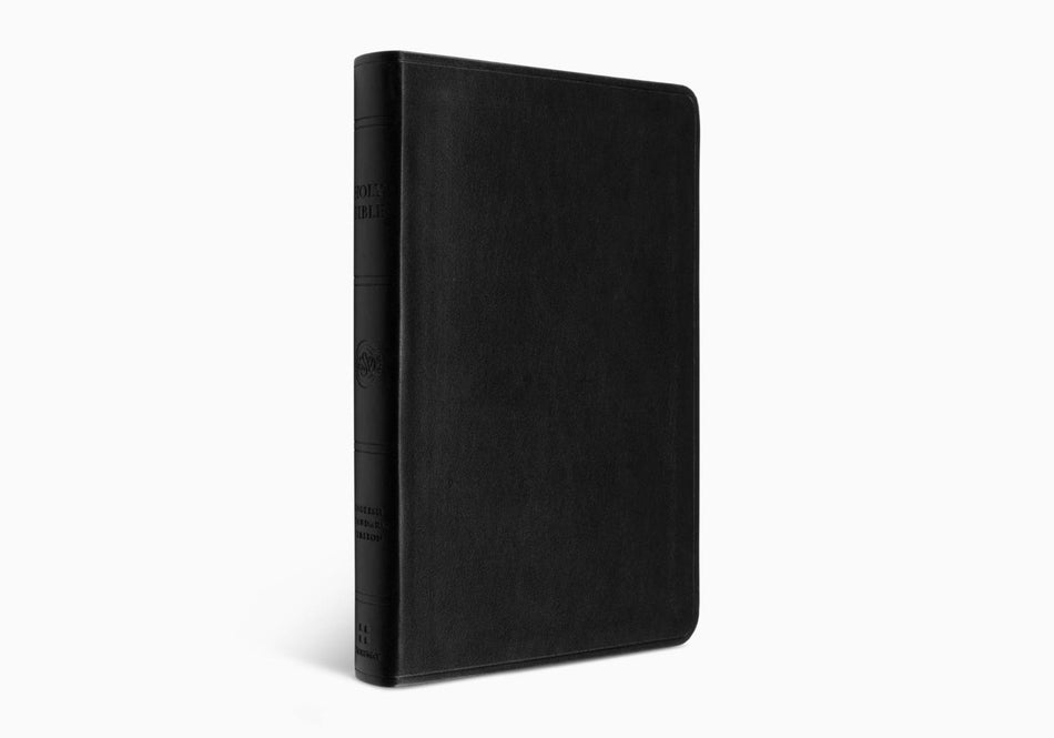 ESV Large Print Value Thinline Bible