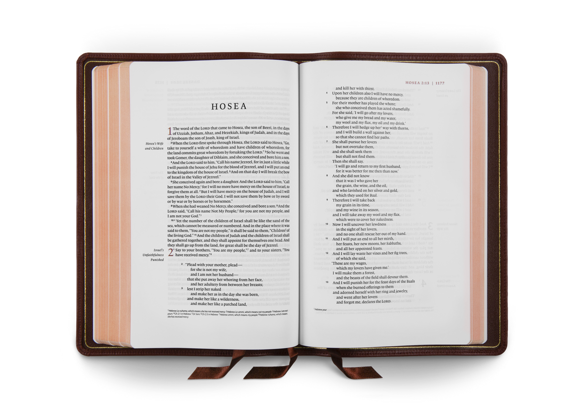 ESV Heirloom Bible, Gloria Dei: Single Column Edition by Crossway, product view 4