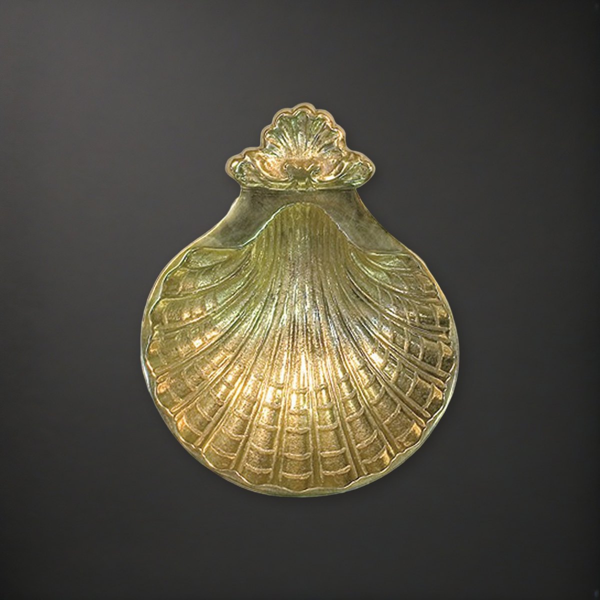 Baptismal Shell on a charcoal backdrop