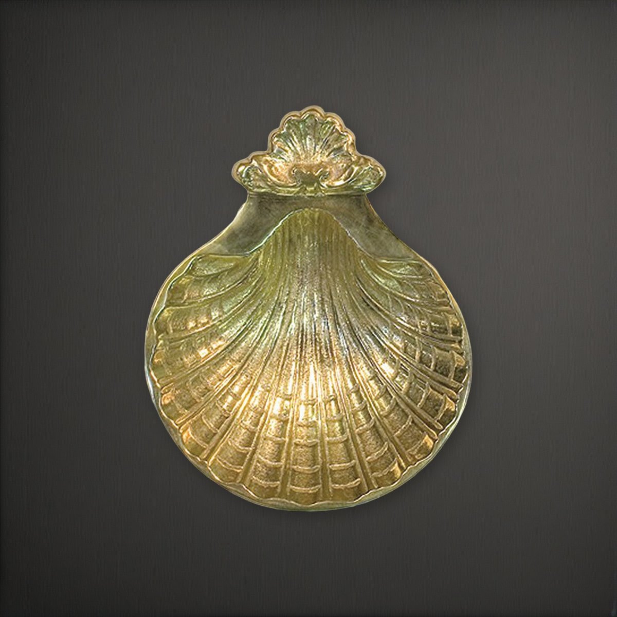 Baptismal Shell on a charcoal backdrop