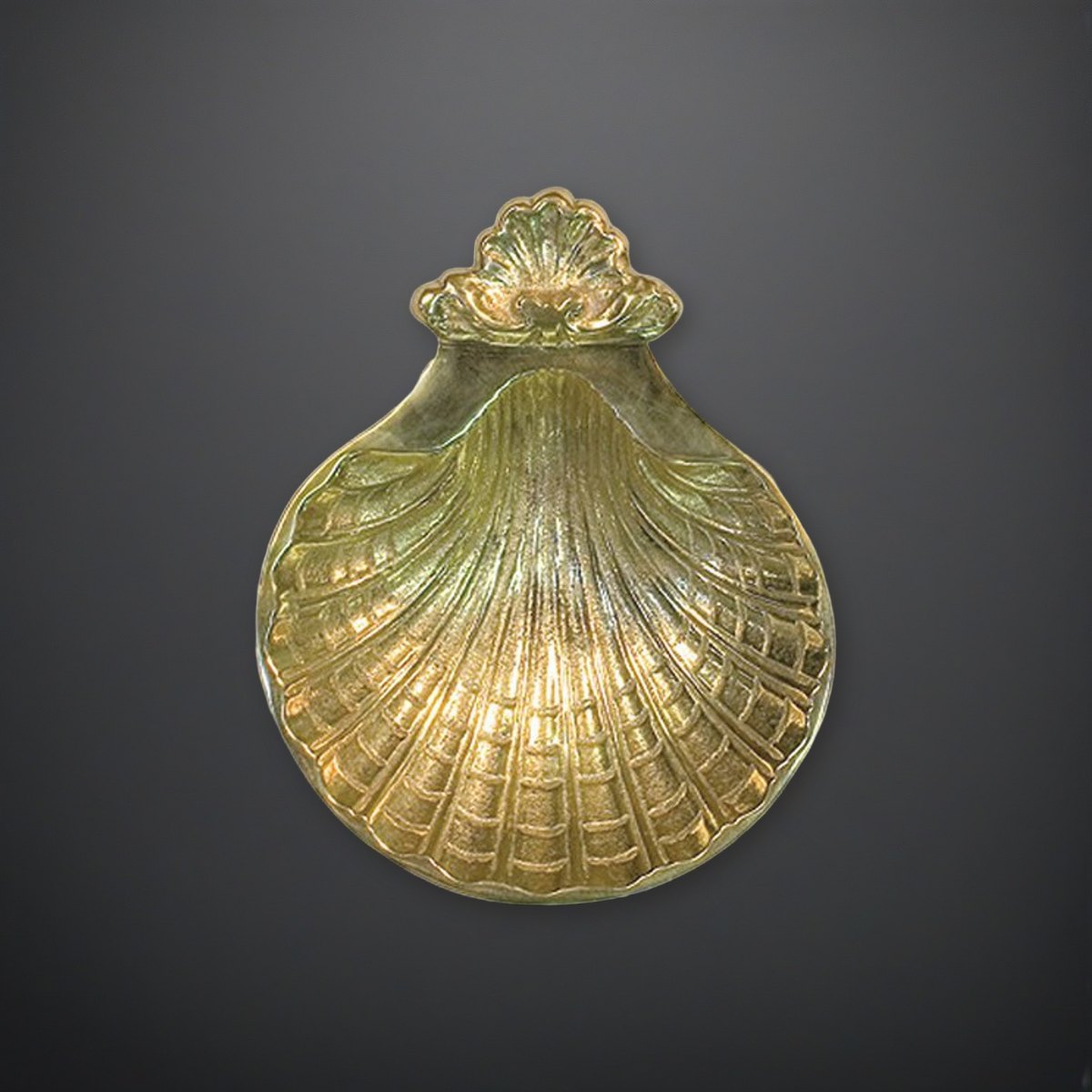 Baptismal Shell on a charcoal backdrop