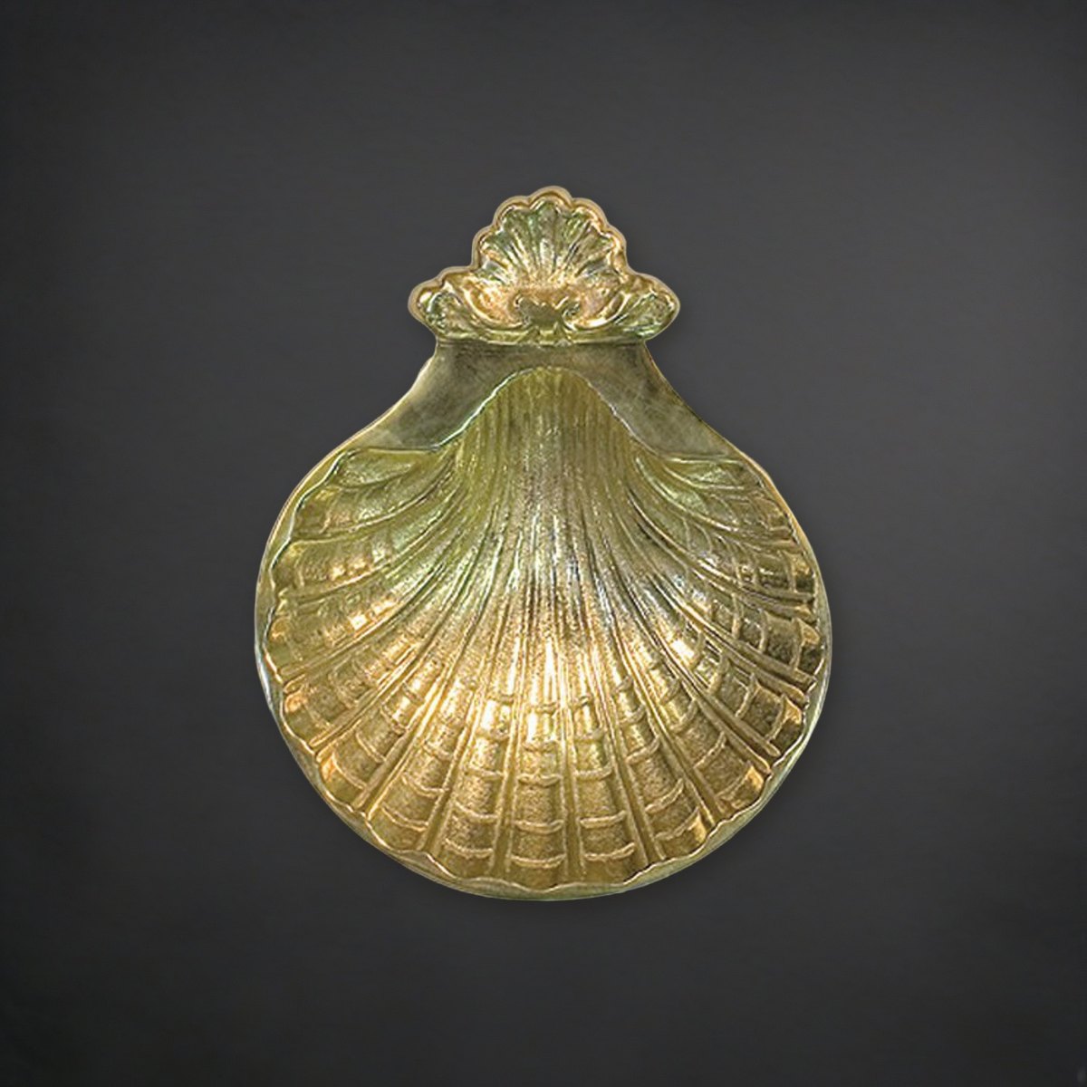 Baptismal Shell on a charcoal backdrop