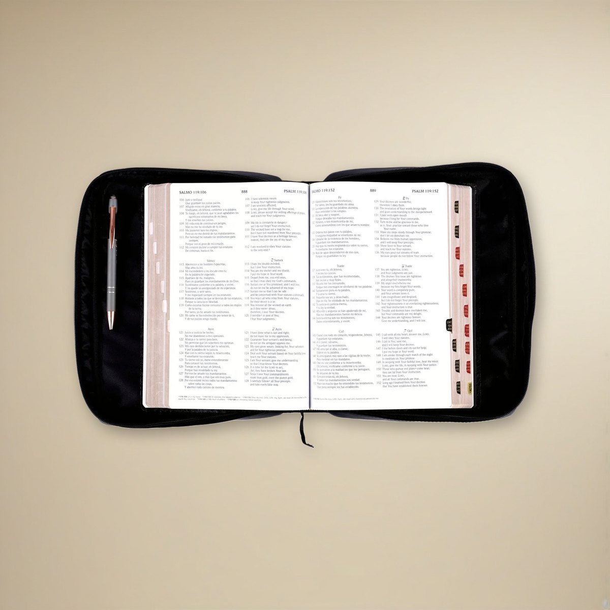 Bible Cover Imitation Leather Fish Black L on a cream backdrop