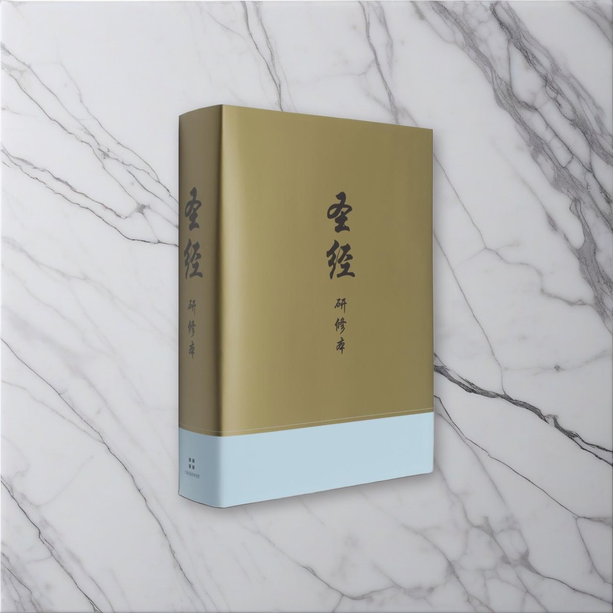 Chinese Study Bible on white marble