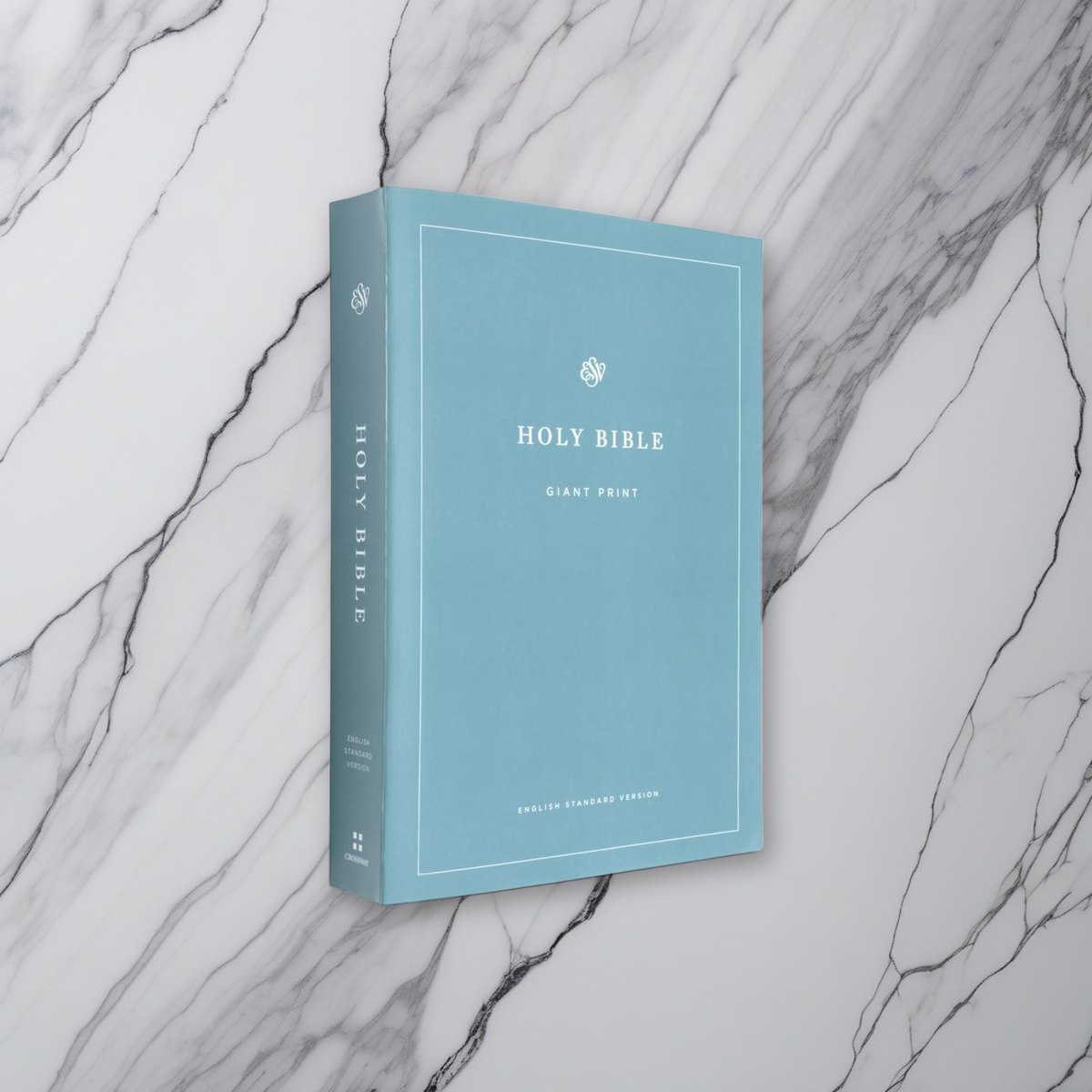 ESV Economy Bible, Giant Print on white marble
