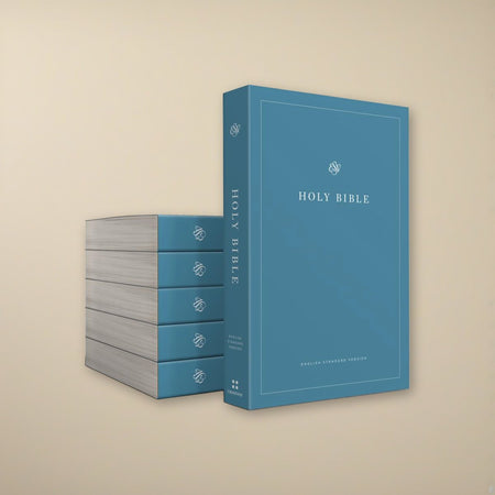ESV Economy Bible - Case of 40 Paperbacks on a cream backdrop