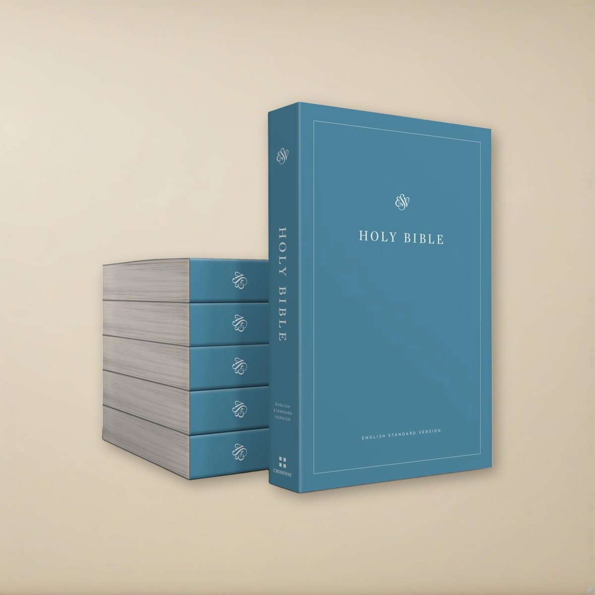 ESV Economy Bible - Case of 40 Paperbacks on a cream backdrop