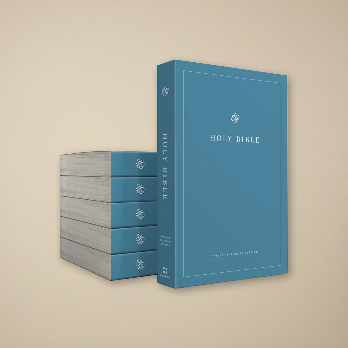 ESV Economy Bible - Case of 40 Paperbacks on a cream backdrop