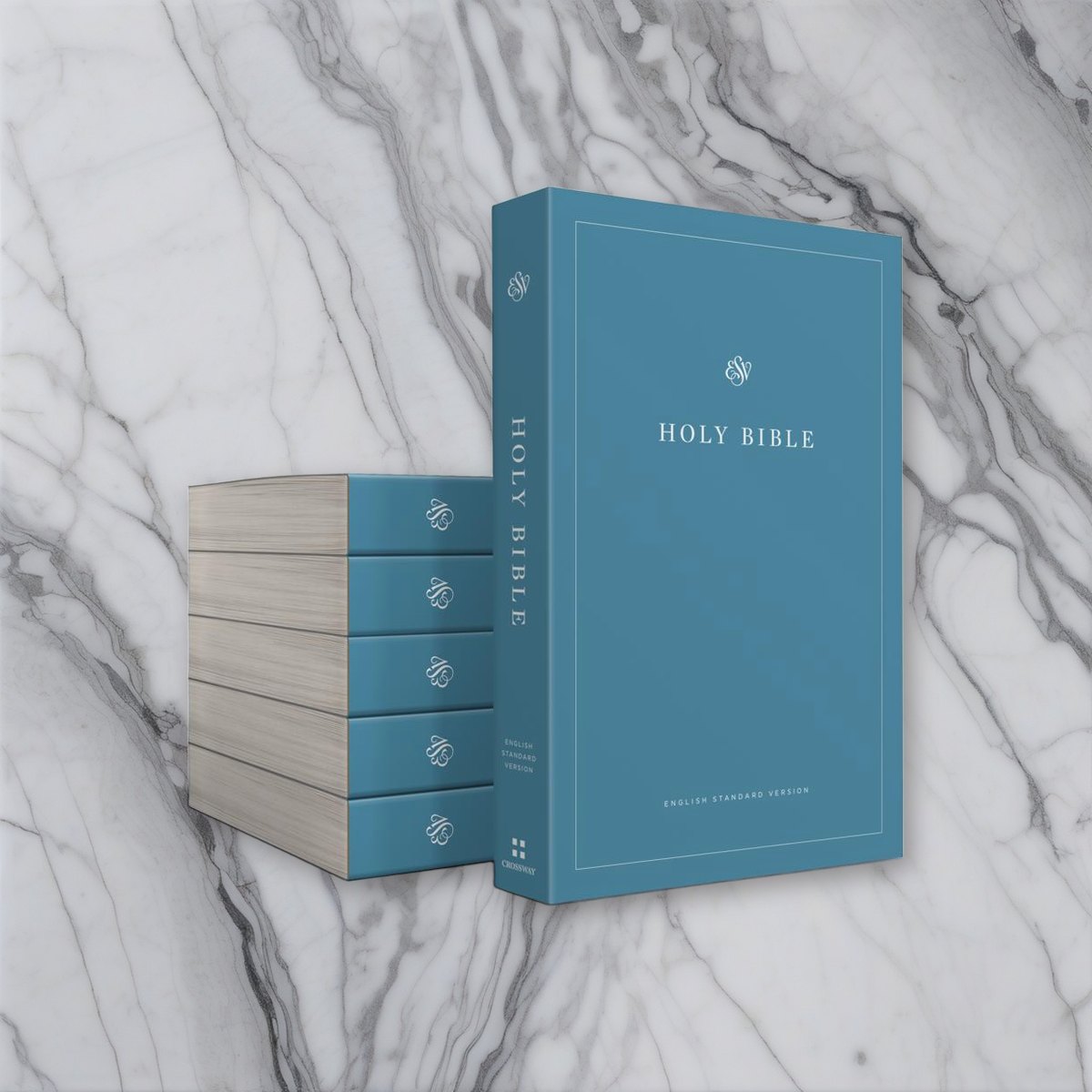 ESV Economy Bible - Case of 40 Paperbacks on white marble