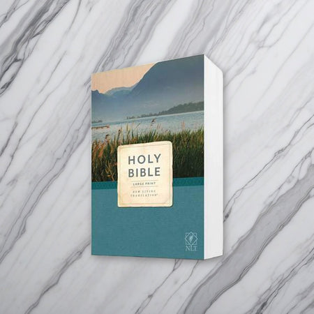 Holy Bible, Economy Outreach Edition | Large Print | NLT | Individual or Case of 28 on white marble
