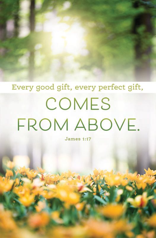 Summer - Every good gift, James 1:17 (CEB) - Pkg 100 - Standard Bulletin by Anchor Christian Distributors