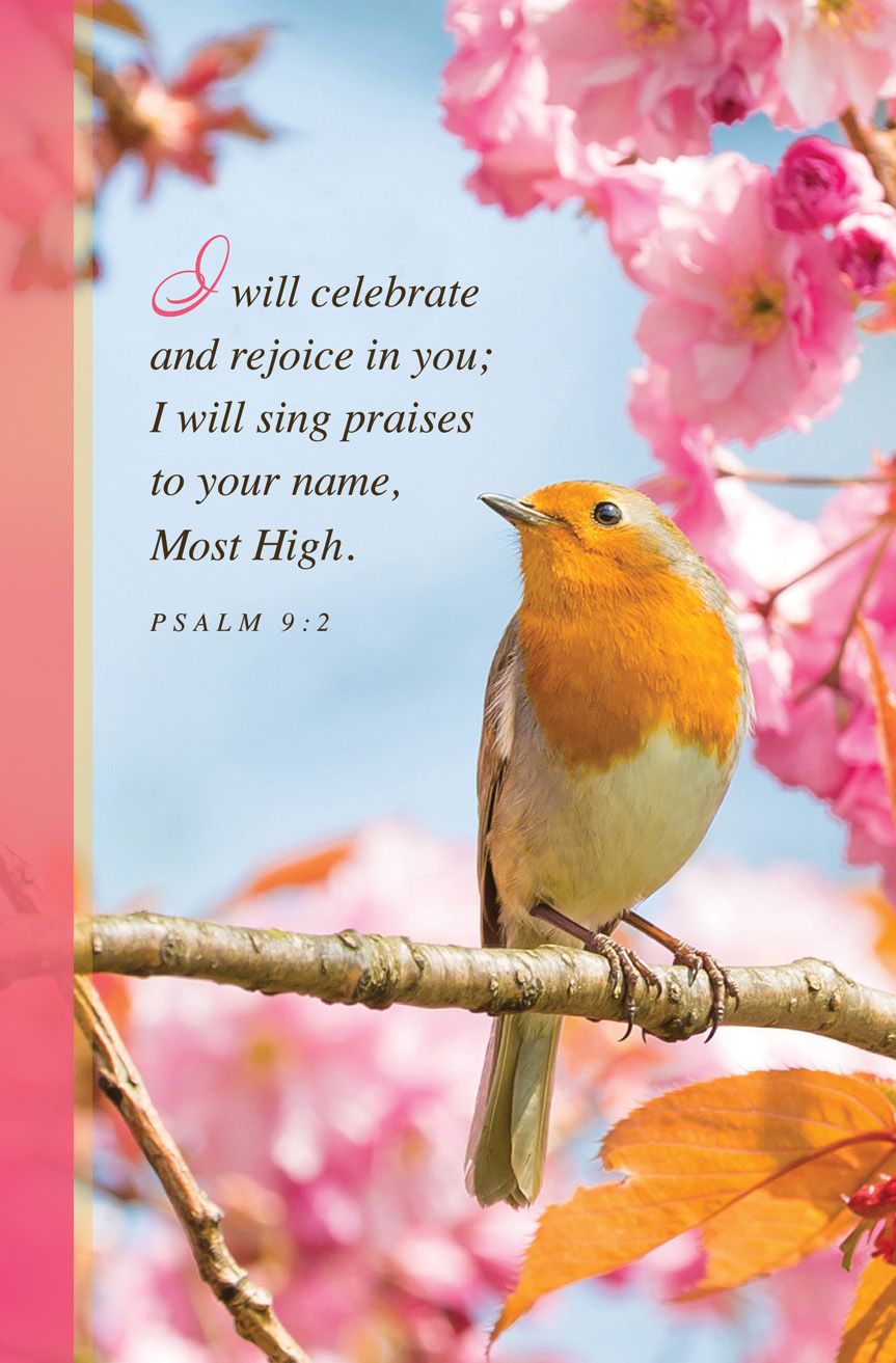 Spring - I Will Celebrate, Psalm 9:2 (CEB) - Pkg 100 - Standard Bulletin by Anchor Christian Distributors