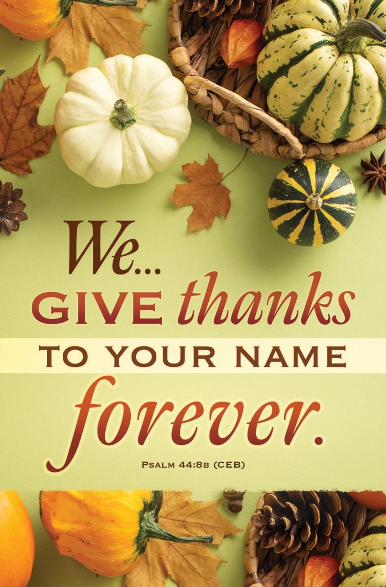 Thanksgiving - Give Thanks...Forever - Psalm 44:8b (CEB) - Pkg 100 - Standard Bulletin by Anchor Christian Distributors