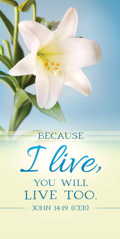 Easter – Because I Live, John 14:19 (CEB) – Pkg 100 – Offering Envelopes by Anchor Christian Distributors