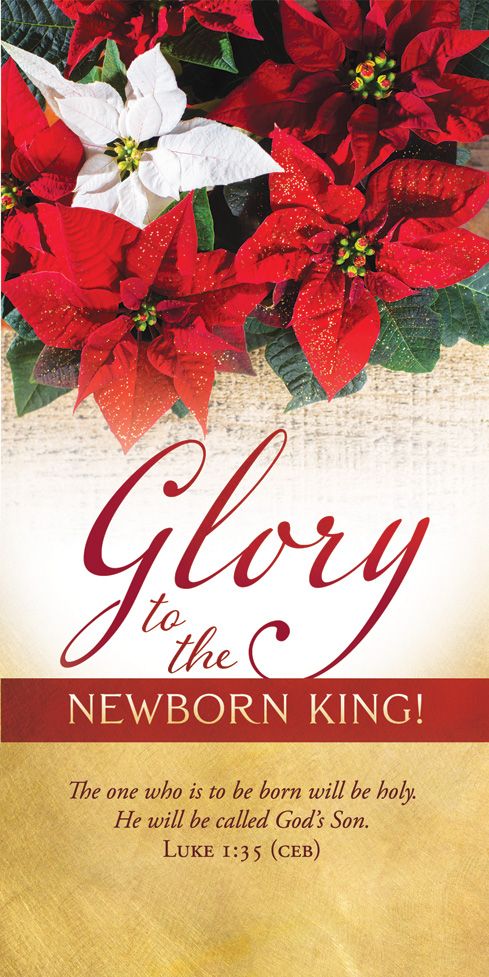 Christmas – Glory to the Newborn King – Luke 1:35 (CEB) - Pkg 100 – Offering Envelopes by Anchor Christian Distributors
