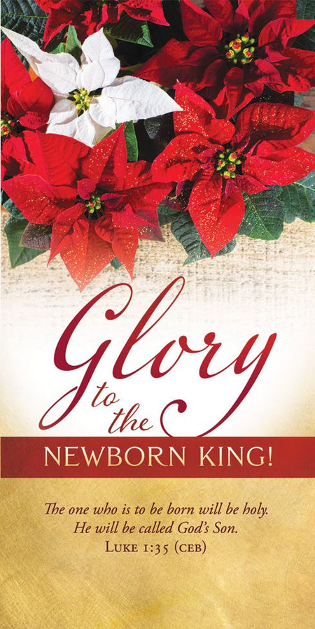 Christmas – Glory to the Newborn King – Luke 1:35 (CEB) - Pkg 100 – Offering Envelopes by Anchor Christian Distributors