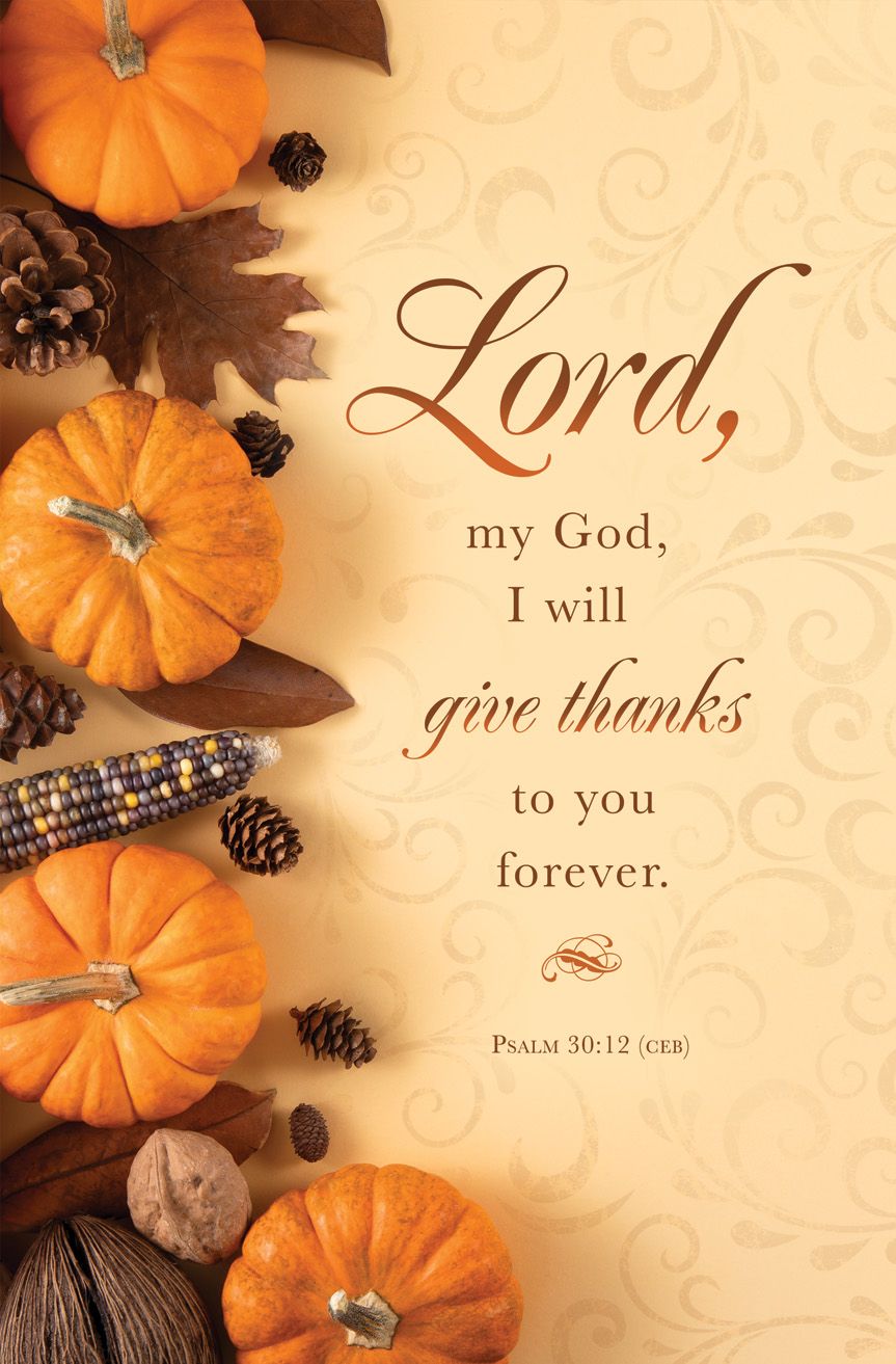 Thanksgiving—I will give thanks; Ps 30:12 (CEB)—Pkg 100—Standard Bulletin by Anchor Christian Distributors
