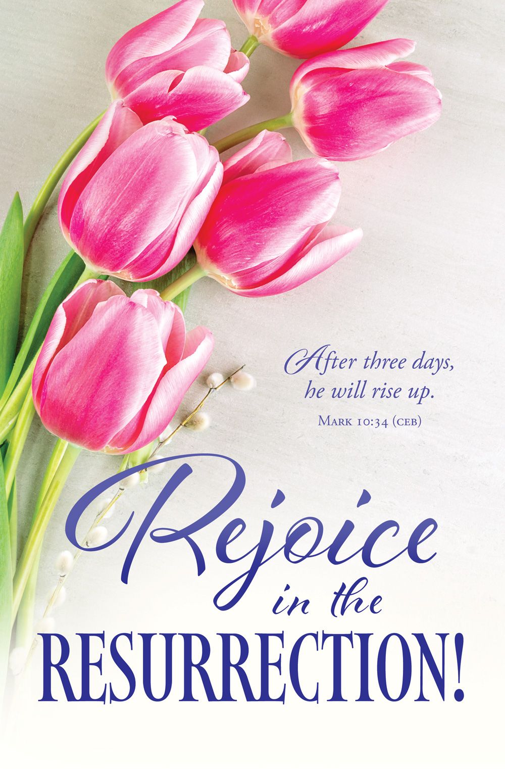 Easter – Rejoice in the Resurrection, Mark 10:34 (CEB) – Pkg 100 – Standard Bulletin by Anchor Christian Distributors