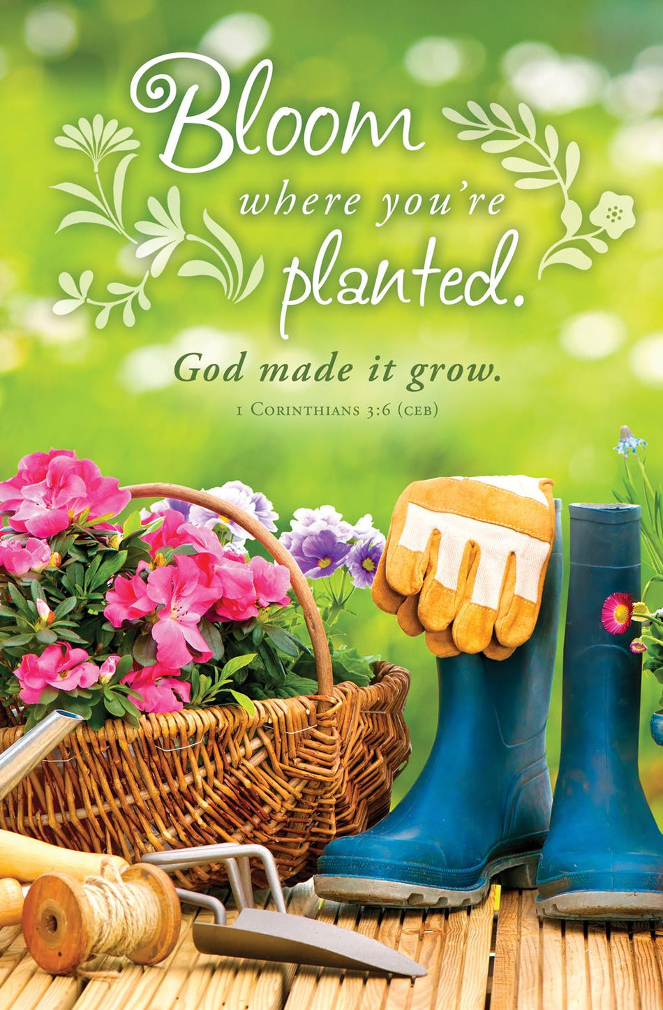 Spring – Bloom Where You’re Planted, 1 Cor 3:6 (CEB) – Pkg 100 – Standard Bulletin by Anchor Christian Distributors