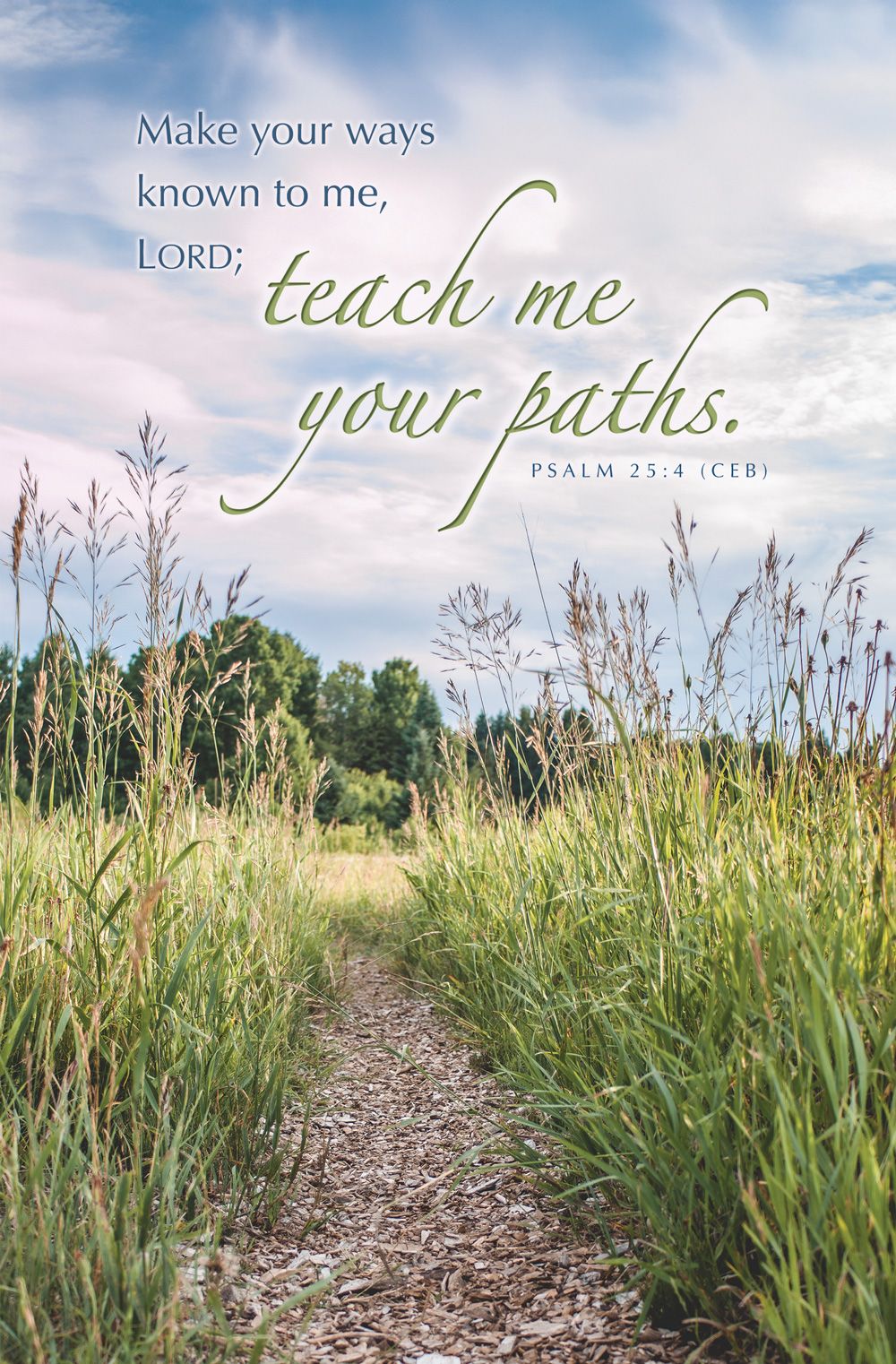 Summer – Teach Me Your Paths, Ps 25:4 (CEB) – Pkg 100 – Standard Bulletin by Anchor Christian Distributors