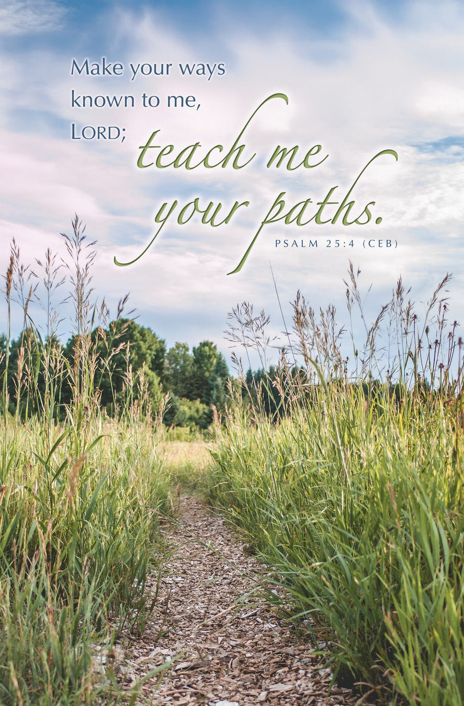 Summer – Teach Me Your Paths, Ps 25:4 (CEB) – Pkg 100 – Standard Bulletin by Anchor Christian Distributors