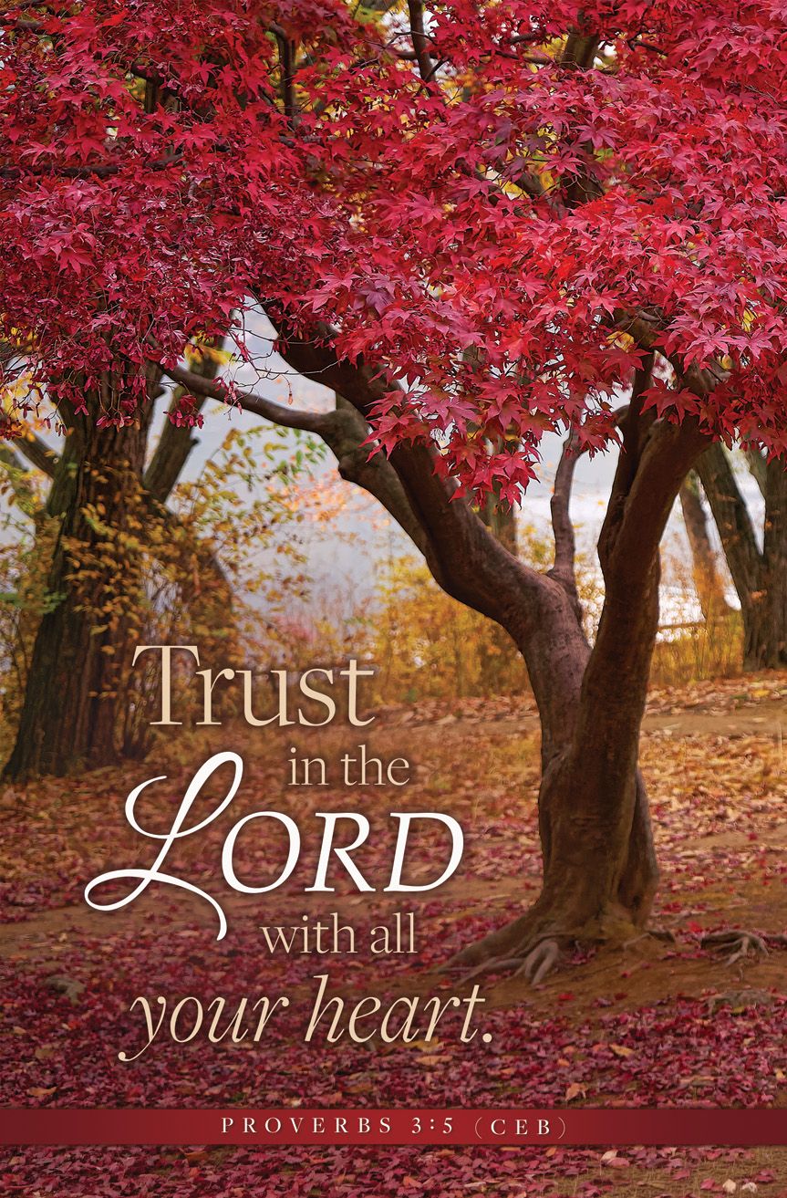 General/Fall—Trust in the Lord; Prov 3:5 (CEB)—Pkg 100—Standard Bulletin by Anchor Christian Distributors