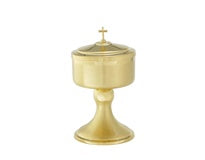 Elegantly crafted Satin Finish  Ciborium