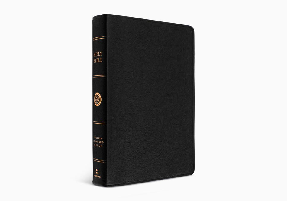 ESV Large Print Wide Margin Bible