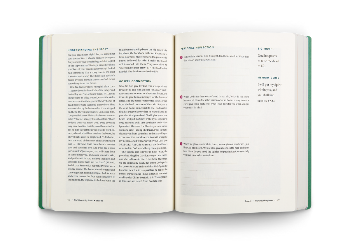 The Biggest Story Curriculum, Student Workbook by Crossway, product view 3