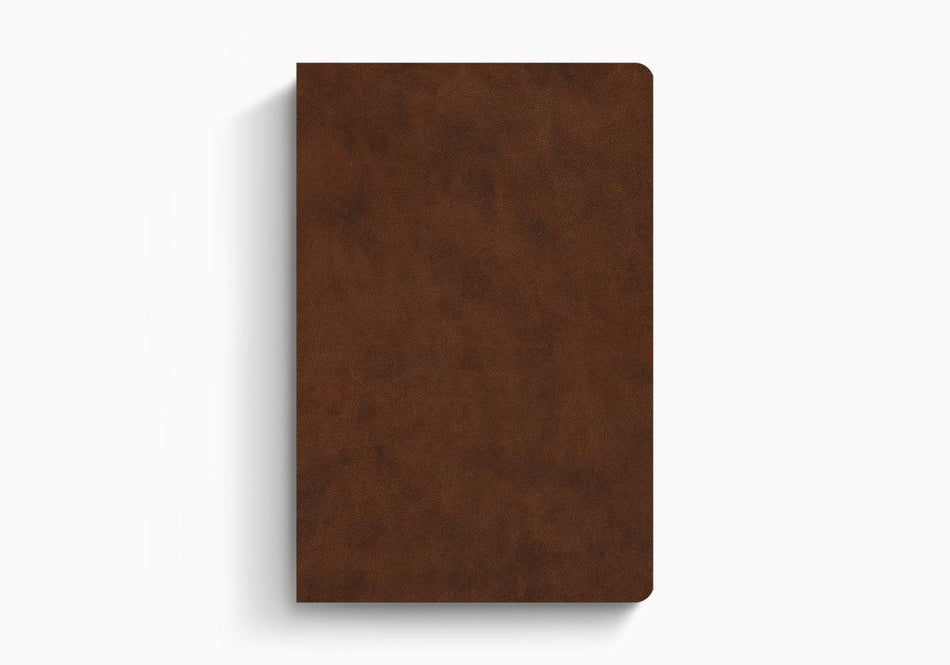 ESV Value Compact Bible