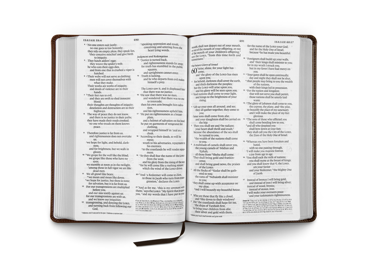 ESV Large Print Thinline Reference Bible by Crossway, product view 6