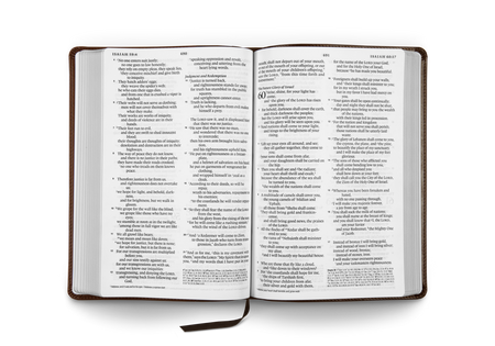 ESV Large Print Thinline Reference Bible by Crossway, product view 6