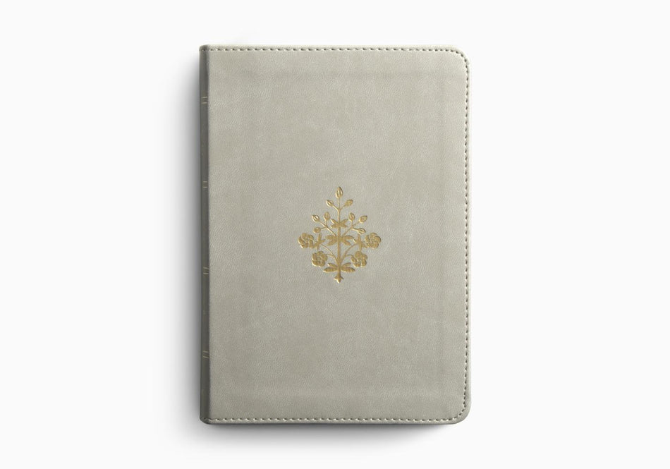 ESV Large Print Compact Bible, Red