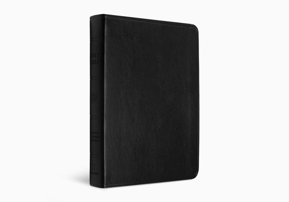 ESV Value Large Print Compact Bible