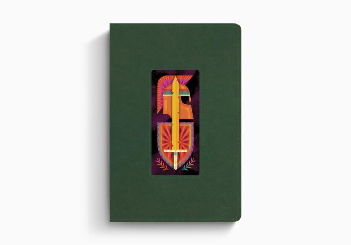 ESV The Biggest Story Holy Bible for Kids