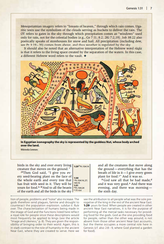 NIV, Cultural Backgrounds Study Bible, Red Letter Edition: Bringing to Life the Ancient World of Scripture, product view 2