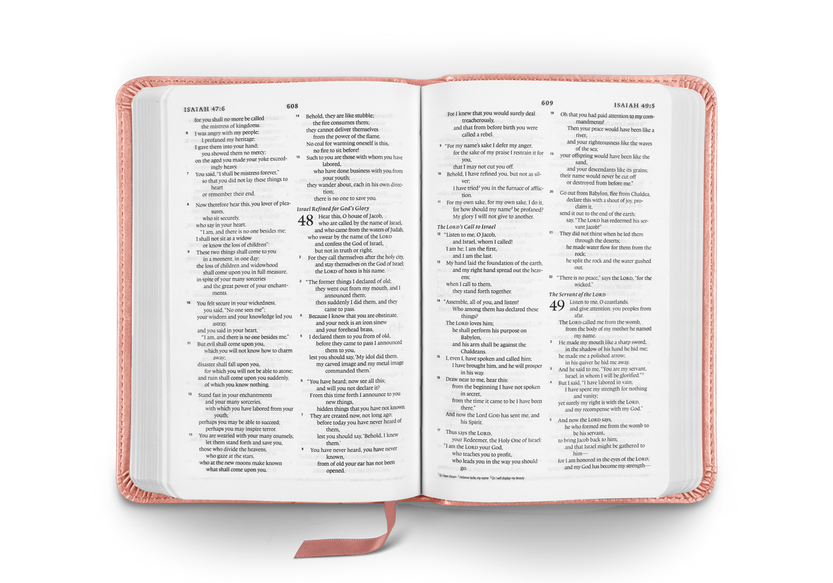 ESV Compact Bible – Leather by Crossway, product view 2