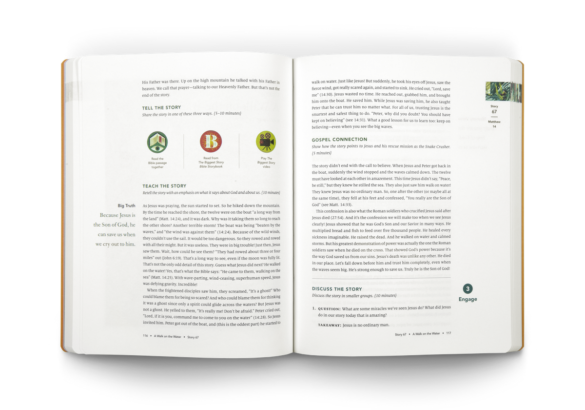 The Biggest Story Curriculum, Volume 4: Gospels by Crossway, product view 3