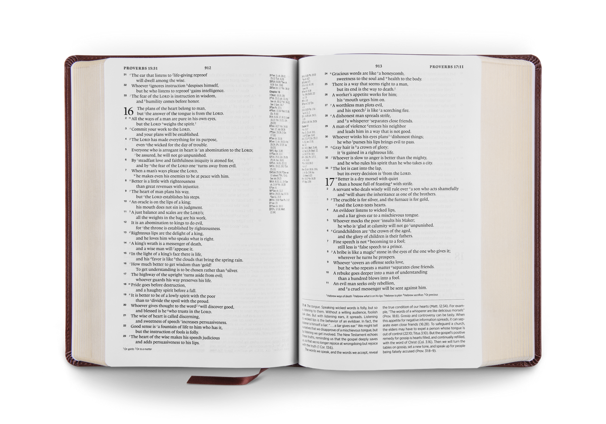 ESV Gospel Transformation® Study Bible: Christ in All of Scripture, Grace for All of Life® by Crossway, product view 8