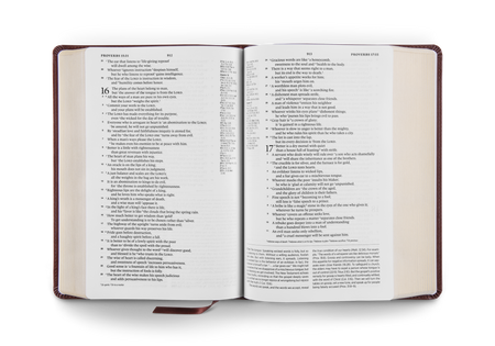ESV Gospel Transformation® Study Bible: Christ in All of Scripture, Grace for All of Life® by Crossway, product view 8